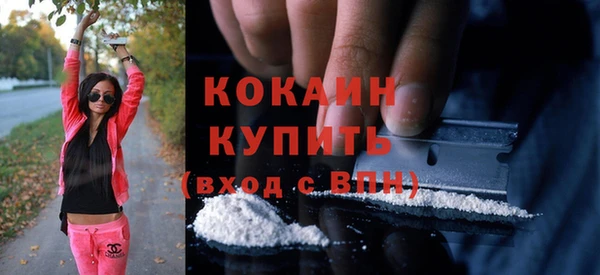 стаф Алзамай