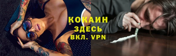 стаф Алзамай