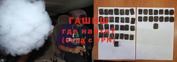 стаф Алзамай
