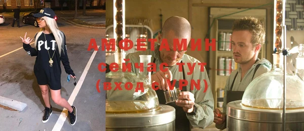 стаф Алзамай