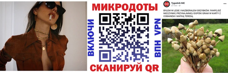 Галлюциногенные грибы Psilocybe  Бирск 