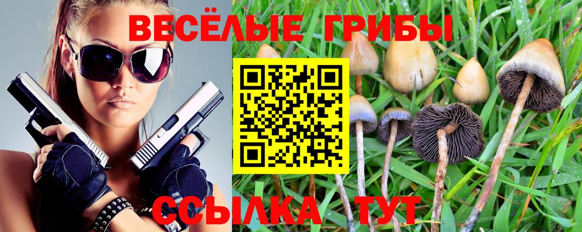 Бирск  Галлюциногенные грибы GOLDEN TEACHER  Псилоцибиновые грибы ЛСД  Вход с VPN 